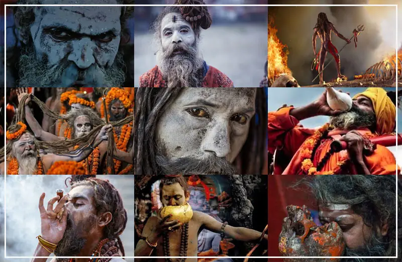 अघोरी साधु (Aghori sadhu) से जुड़ी ये 5 बातें जानकर आप हैरान रह जाएंगे