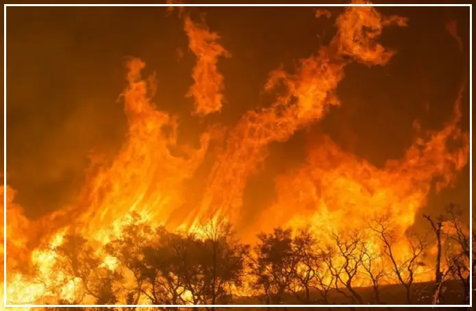 आखिर क्यों थमने का नाम नहीं ले रही है अमेज़न जंगल की आग?